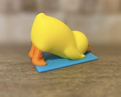 Yoga Duck – Downward Duck – Ducking – Cruises – Collectibles