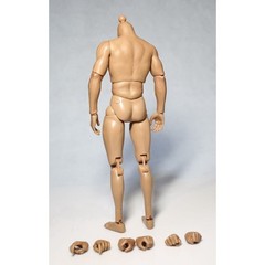 US ZC Toy 1/6 Muscular Body For 12″ Hot Toys Model Male Action Figure Head Toys