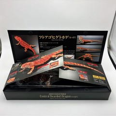 Living Creatures Encyclopedia Premium – Bearded Dragon (Red)