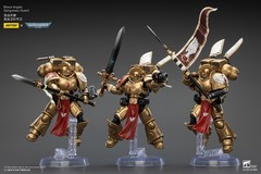 JOYTOY Warhammer 40K 1/18 Action Figures Blood Angels Sanguinary Guard Model