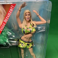 Jenna Jameson Fantasy Adult SuperstarFigure Removable Clothes Camo Cheerleader