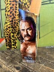 WWE ELITE LEGENDS JAKE THE SNAKE ROBERTS FIGURE WWF NWA WCW ULTIMATE BASIC RETRO