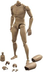 New 1:6 Scale Narrow Shoulder Male Body Action Figure for TTM18 TTM19 USA