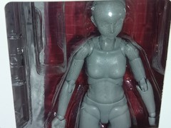SH Figuarts(SHF) Body Chan Sports Edition Dx Set Gray Color Figure Box C8 last