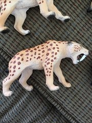 Mojo Smilodon, Sabre Tooth model figure toy Jurassic prehistoric figurine gift