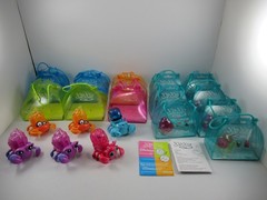 Xia-Xia Hermit Crabs And Shells Lot 2011 Cepia
