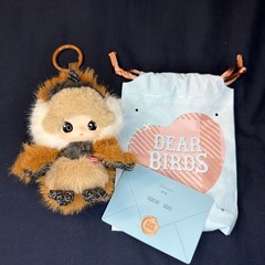 Pop Mart Dear Birds Series Dimoo “Whispers of Love” Plush Pendant Confirmed