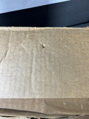 1980s Glasslite Shipper Box-Used For A-TEAM “Operacao Boinas Verdes”-Box Only