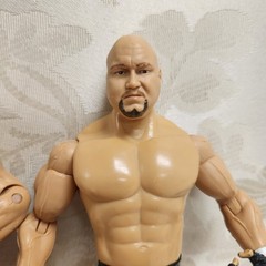 GYMINI Jake + Jesse WWE Jakks Pacific 2003 Action Figures