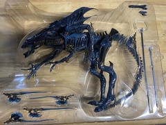 NECA- “Alien Queen Deluxe Action Figure” W/ Original Box And Accessories