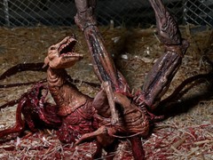 NECA The Thing Ultimate Dog Creature Deluxe Set Boxed Collector Grade New/Sealed