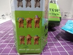 Maltese PupSnap Blind Box – Funism Random Attach Mini US Free Shipping
