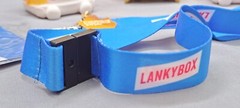 Lankybox Toy Lot