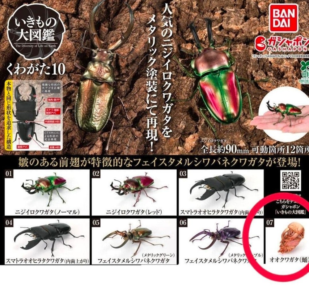 Big Illustrated Encyclopedia of Creatures Kuwagata 10 Gacha Figure Giant Stag