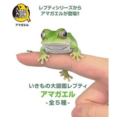 Bandai Japan Living Creatures Encyclopedia Repti Tree Frog Complete Frog Gacha