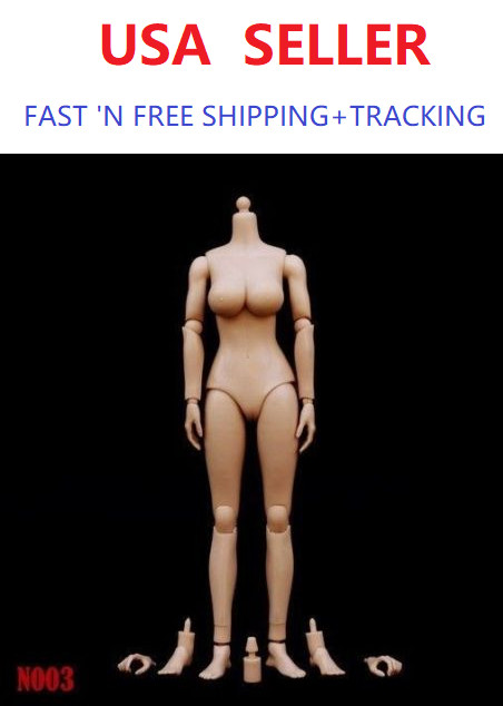 ZY TOYS 1/6 Scale LARGE Bust Caucasian skin tone Female Body N003