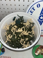 Toy Story, Bucket Of Soldiers, Disney Pixar Missing Parachutes And Coa