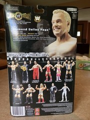 WWE DDP Diamond Dallas Page Figure JAKKS Pacific Classic SuperStars 14 NEW