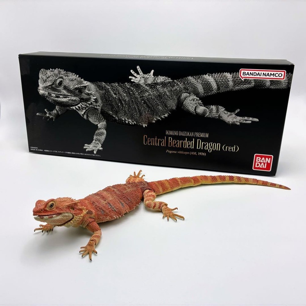 Living Creatures Encyclopedia Premium – Bearded Dragon (Red)