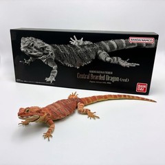 Living Creatures Encyclopedia Premium – Bearded Dragon (Red)