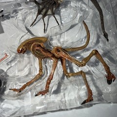 NECA Alien 3 Creature Pack (DAMAGED Queen Buster Broken Arm) SOLD STRICTLY As Is