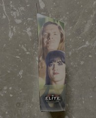 Mattel WWE D-Generation X Elite Collection.Chyna And Triple H