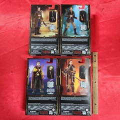 Hasbro Dungeons & Dragons Golden Archive 6″ Figures- Simon, Forge, Edgin & Holga