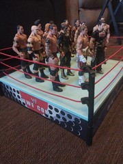 Lot Of 14 WWE Mattel Basic Figures And Jakks Raw/SmackDown Ring