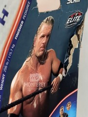 TRIPLE H WWE Mattel Elite Summer Slam Wrestling Action Figure BAF William Regal