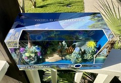 Avatar Metkayina Reef With Tonowari And Ronal; NIB, Lights Up