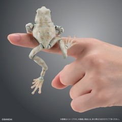 The Diversity of Life on Earth Tree Frog Figure 02 Set of 5 Complete Bandai