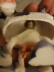 Cartoonish Booble Cow Body Figure