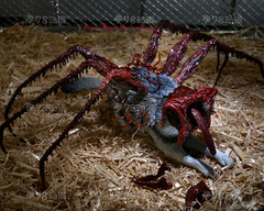 Neca 7″Scale The Thing Ultimate Dog Creature Action Figure In Stock