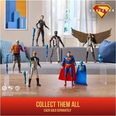 DC Comics 6-Inch Superman & Hawk Girl Action Figures – Collector’s Must-Have