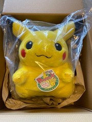 Pokemon 30th Anniversary Welcome Back! Pikachu Plush 1/1 Size Japan New