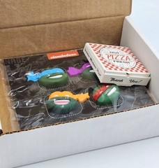 New 2020 QMx’s TMNT Challenge Coin & Pin Set Walmart Exclusive (Limited to 500)