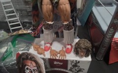 WWE Mattel Series Ultimate Series #1 The Ultimate Warrior Mint & Complete NICE!!
