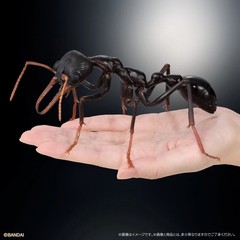 The Diversity of Life on Earth Advance Paper Wasp Bulldog Ant Bandai Capsule Toy