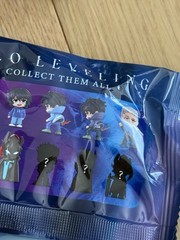 Solo Leveling PhatMojo Series 1 Blind Bag Mini Figure – Sung Jinwoo Gray Dagger