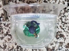 SKYLANDERS Activision Spyros Adventure ~ STEALTH ELF ~Toys To Life Figure