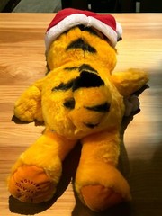 Garfield & Odie Macy’s 25 Years Christmas Plush Cat Dog 18″ Book Included