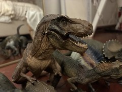 Lot of RETIRED Papo Dinosaurs Toy Figures