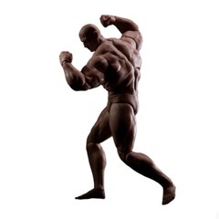 US MUFF TOYS ADAM 1/12 AD01 Male Figure Body Strong MuscleJoint Body 17cm Figure
