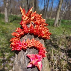 3D Printed Articulating Crystal Dragon – Mythical Fantasy Decor, Customizable,