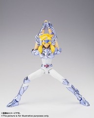 Bandai Saint Cloth Myth EX Cygnus Hyoga (New Bronze Cloth) Japan version