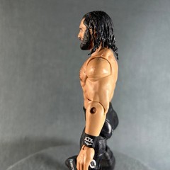 WWE Elite Collection Series Top Talent Seth Rolins Wrestling Action Figure