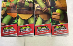 Playmates TMNT x WWE Ninja Superstars Series 1 Complete Set SEALED