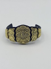AEW Wrestling Figure World Heavyweight & TNT Championship Accessory Lot