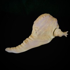 Rotta The Hutt Jabba’s Son Action Figure (Painted) – (Life Size – 1:1 Scale)