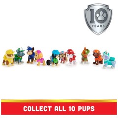 , 10th Anniversary, All Paws On Deck Toy Figures Gift Pack with 10 Collectibl…
